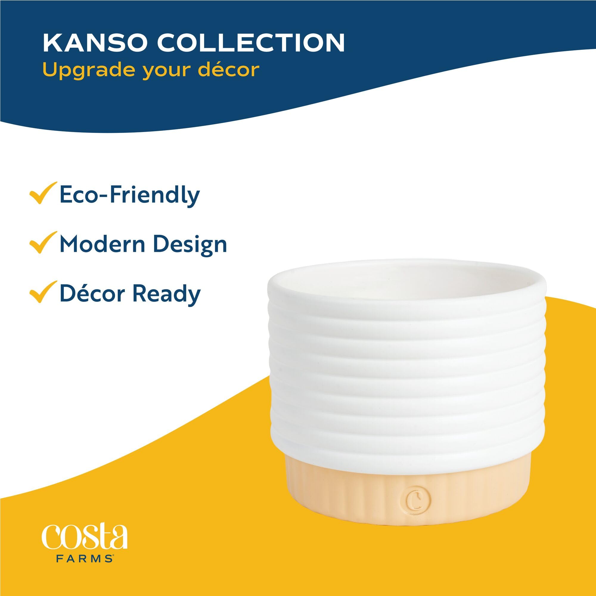 Costa Farms Live Indoor Plants in Decorative Pots, Easy to Maintain, Air Purifying Houseplants, Assorted Varieties, Room or Home Decor, House Warming Gift, 8-12 Inches Tall, Pack of 3