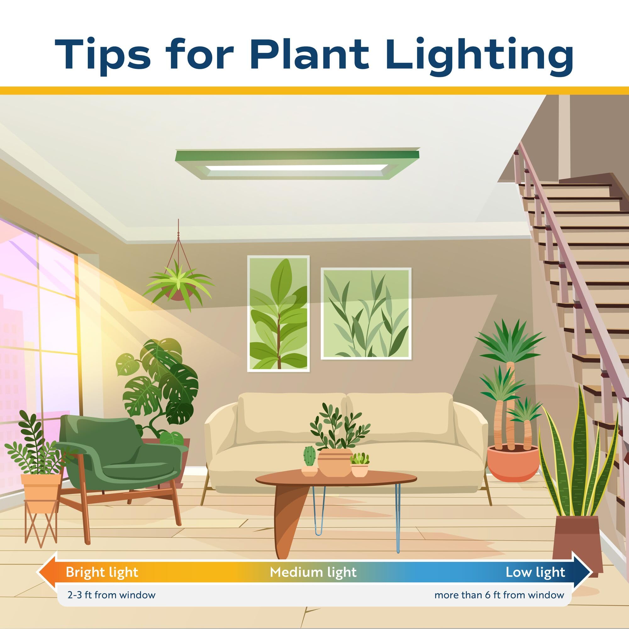 Costa Farms ZZ Live Plant in Decorative Pot, Easy to Maintain, Air Purifying Indoor Houseplant, Perfect for Home, Room, or Office Decor, Great House Warming or Birthday Gift, 12-20 Inches Tall