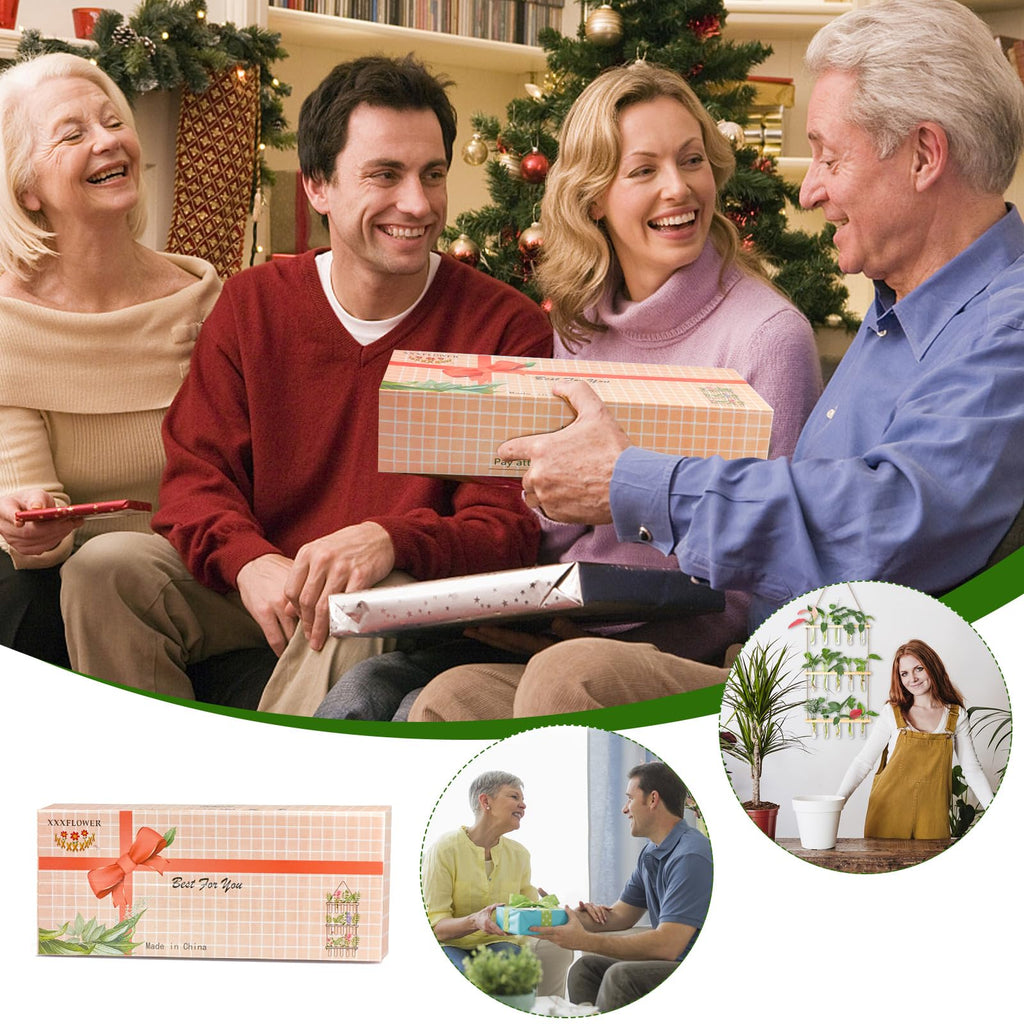 XXXFLOWER Wall Hanging Propagation Station with Wooden Stand 5 Glass Test Tubes 3 Tiered Planters Wall Terrarium for Home Office Plant Hanger Flower Vases Wall Decor Hydroponic Cuttings