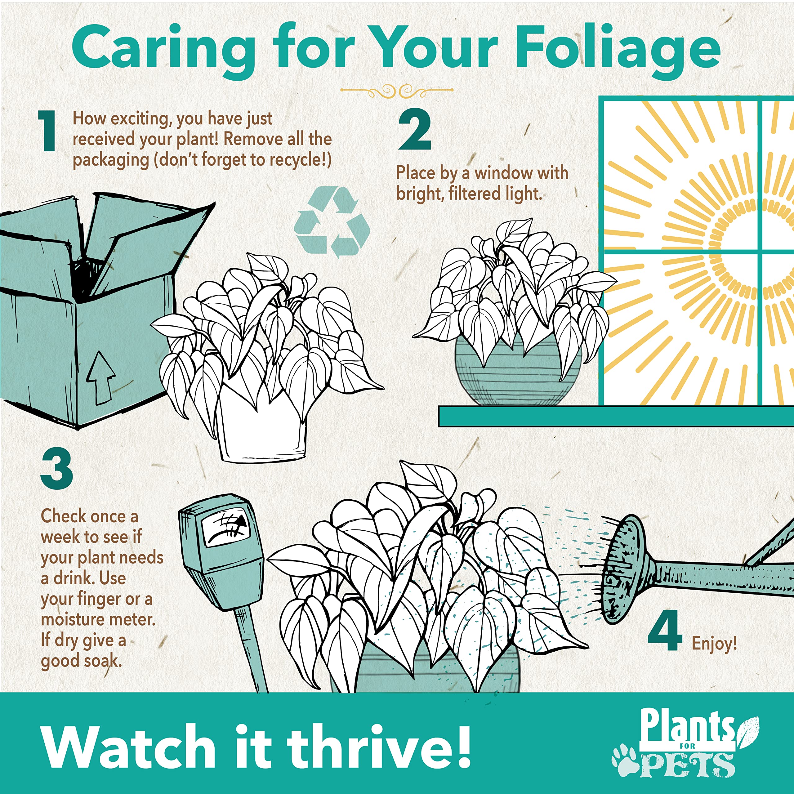 Live Pothos Plants (4PK) Indoor Plants Live Houseplants, Pothos Live Plant House Plants, Money Plant Indoor Pothos Plant Decor, Devils Ivy Trailing Plants Live by Plants for Pets,Black